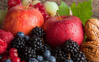 Dieta Blanda: Qué alimentos elegir y cómo recuperar tu bienestar digestivo paso a paso