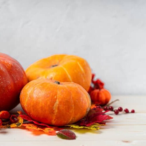 propiedades de la calabaza