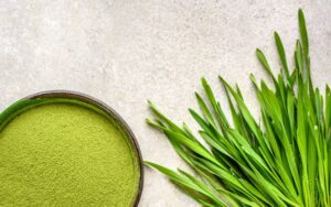 ¿qué es la espirulina?