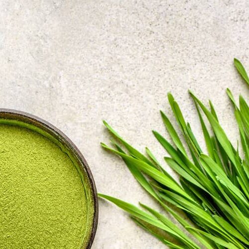 ¿qué es la espirulina?
