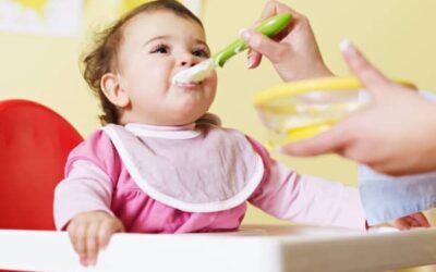 Alimentación Complementaria para Bebés