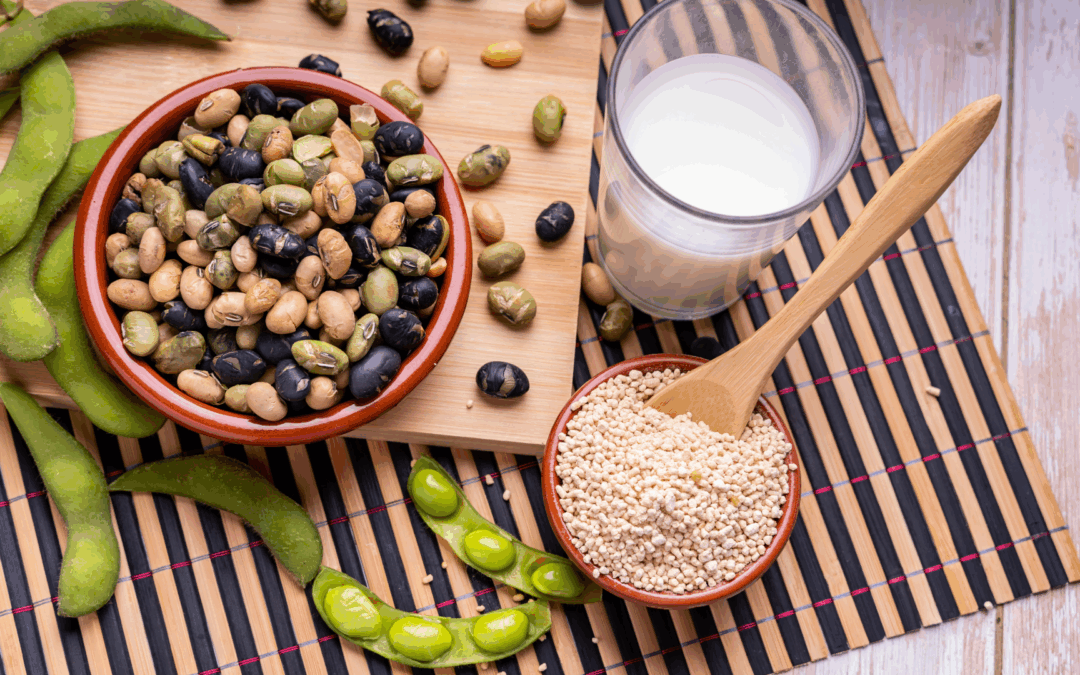 Proteína vegetal fácil