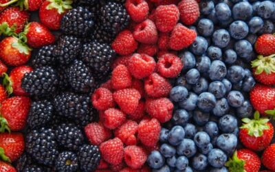 Cómo Frenar el Envejecimiento Celular Desde el Plato