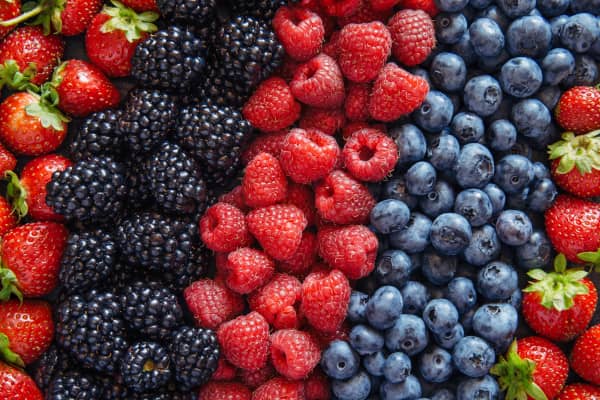 envejecimiento celular