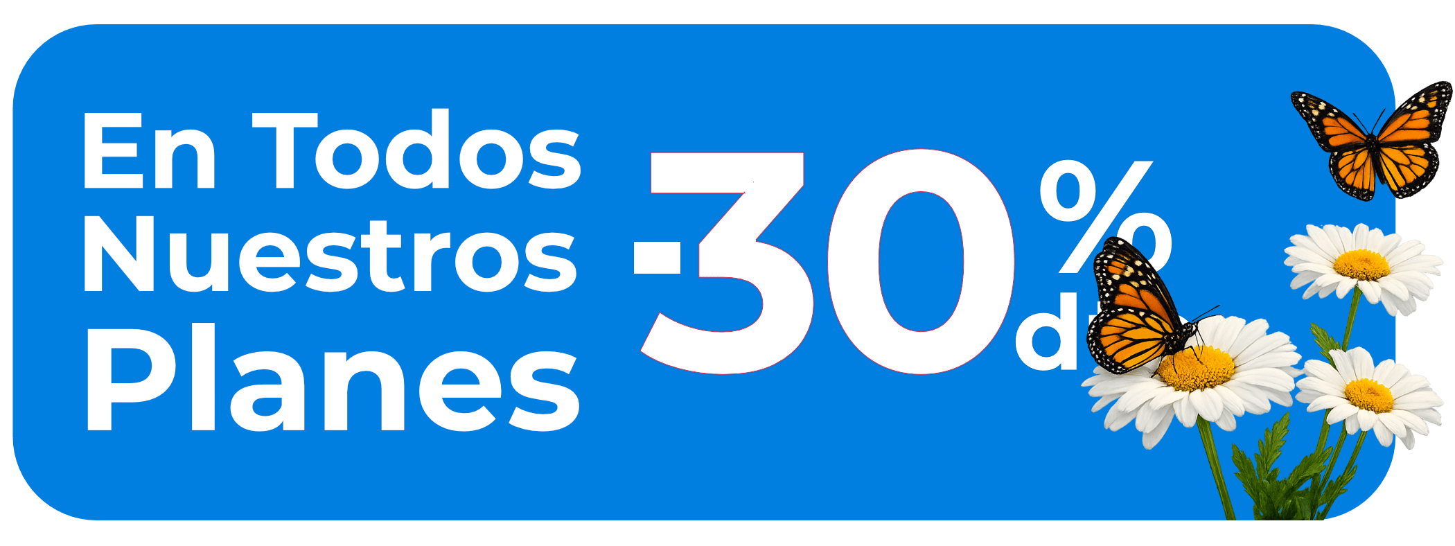 oferta 02b Primavera