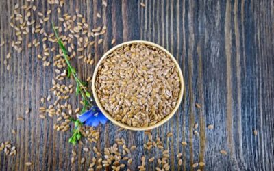 Beneficios de las Semillas de Lino: Oro para tu Salud